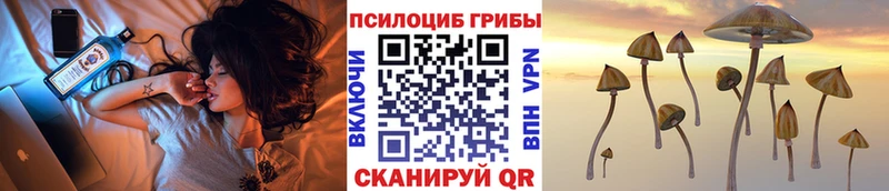 Купить закладки  Советский  Псилоцибиновые грибы Psilocybe 