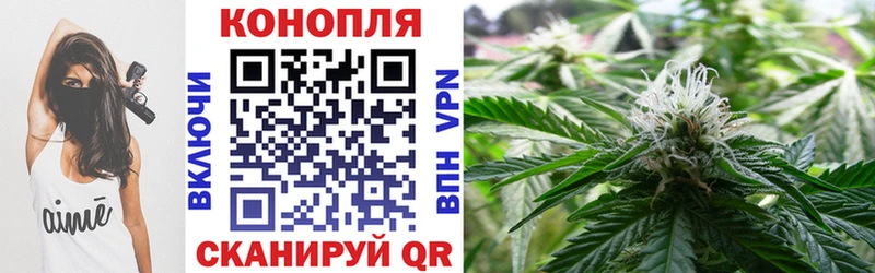 Купить где  Советский  Шишки марихуана VHQ 